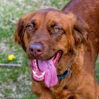 June Carter - Photo 2