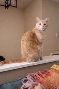 Patrick - Photo 2