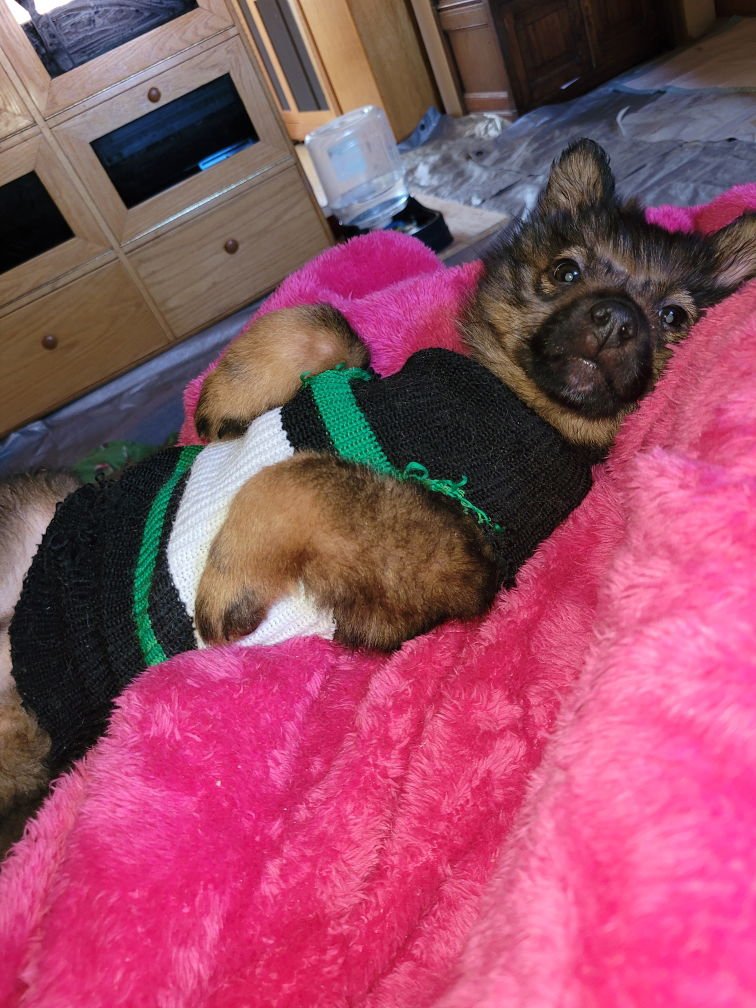 Ranger (FTF Only) - Photo 6