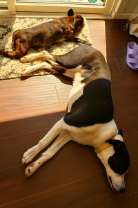 Orbit - Photo 11
