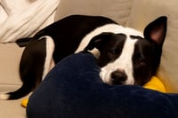 Orbit - Photo 10