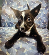 Lucky Day - Photo 6