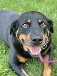 Mabel - Photo 2