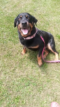 Mabel - Photo 5