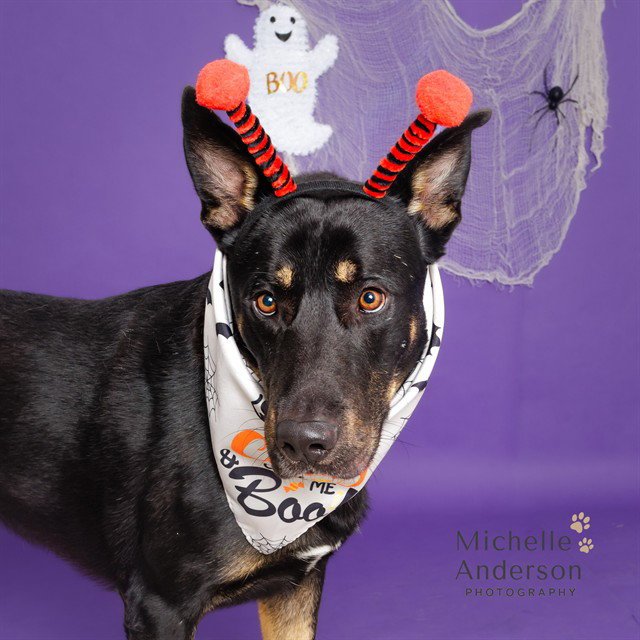 MURPHY Image