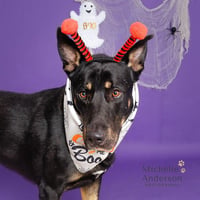 MURPHY - Photo 1