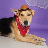 CHARLIE - Photo 1
