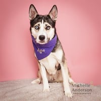 SASHA - Photo 1