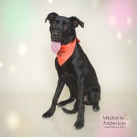 LILLY - Photo 1
