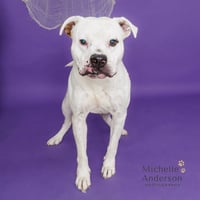 BUDDY - Photo 1