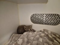 A164938 - Photo 1