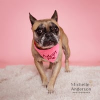 SWEETIE - Photo 1