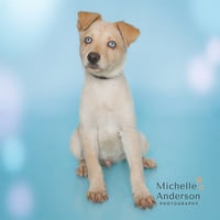 A164564 - Photo 1