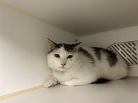 A165654 - Photo 1