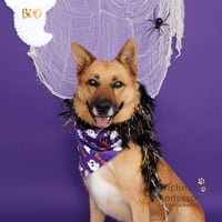 FAITH - Photo 1