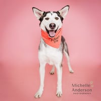 RJ - Photo 1