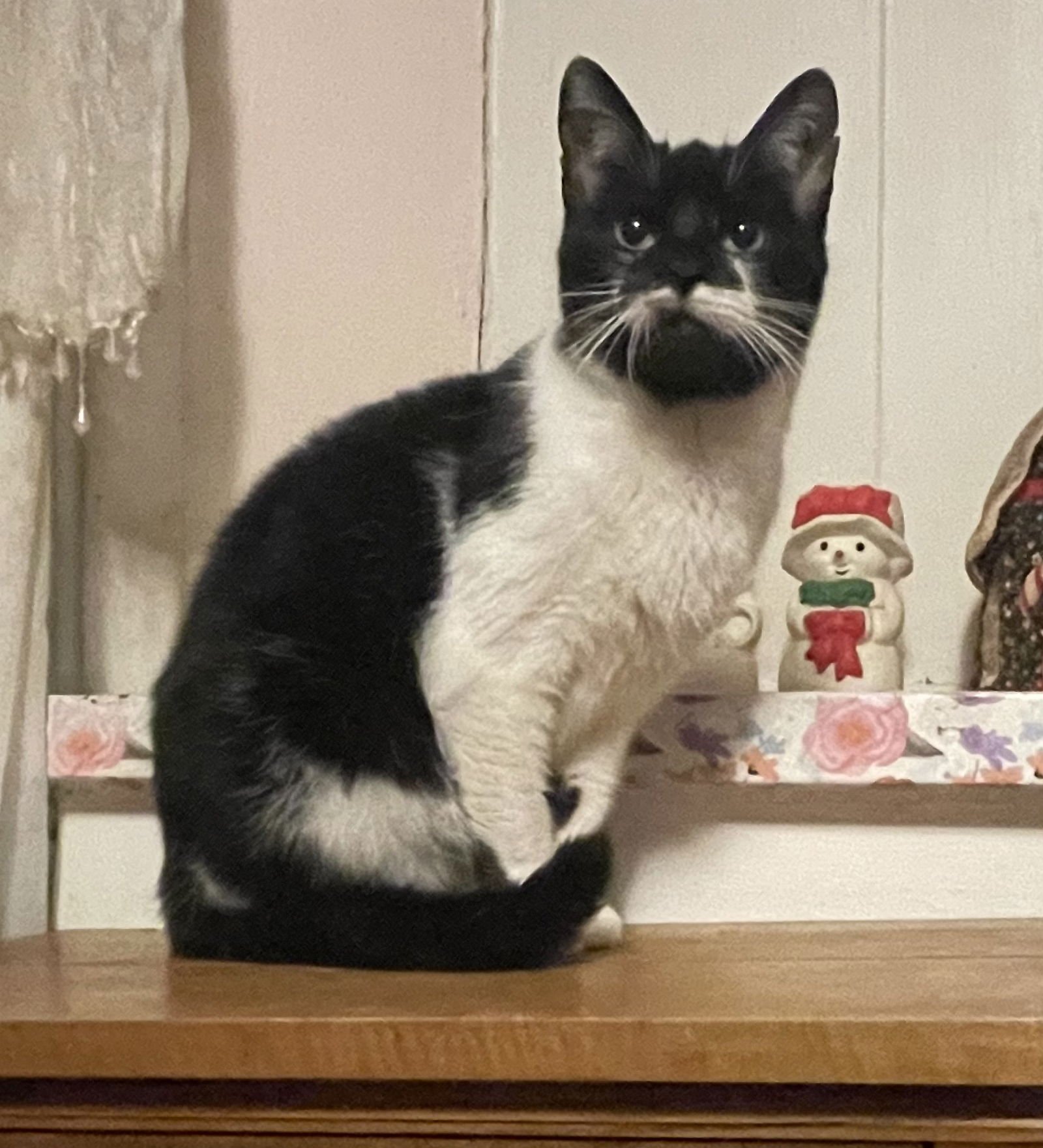 Aurora “Rory” - Photo 3