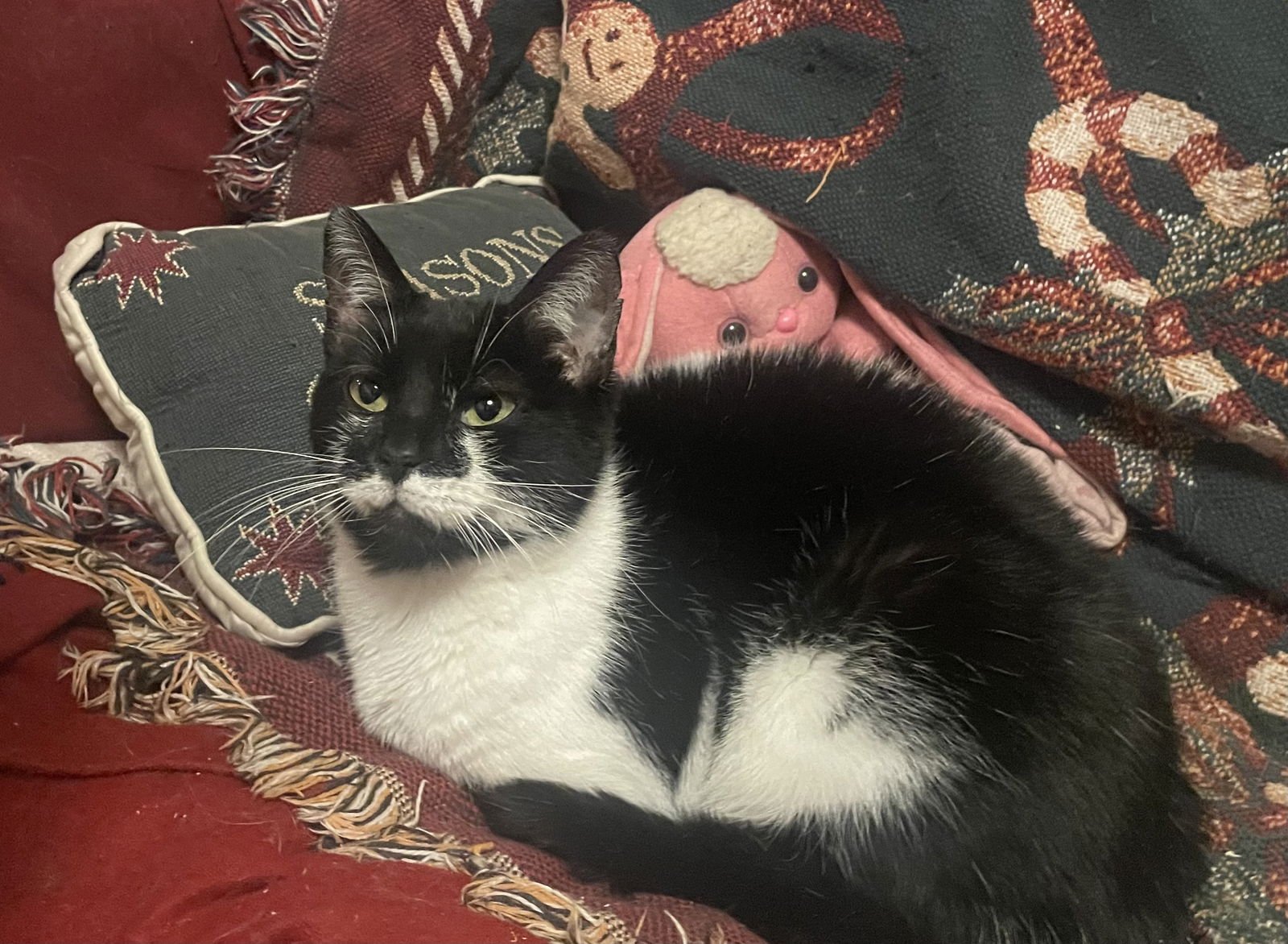 Aurora “Rory” - Photo 4