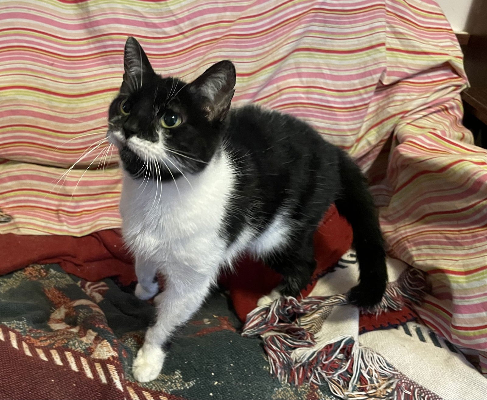 Aurora “Rory” - Photo 6