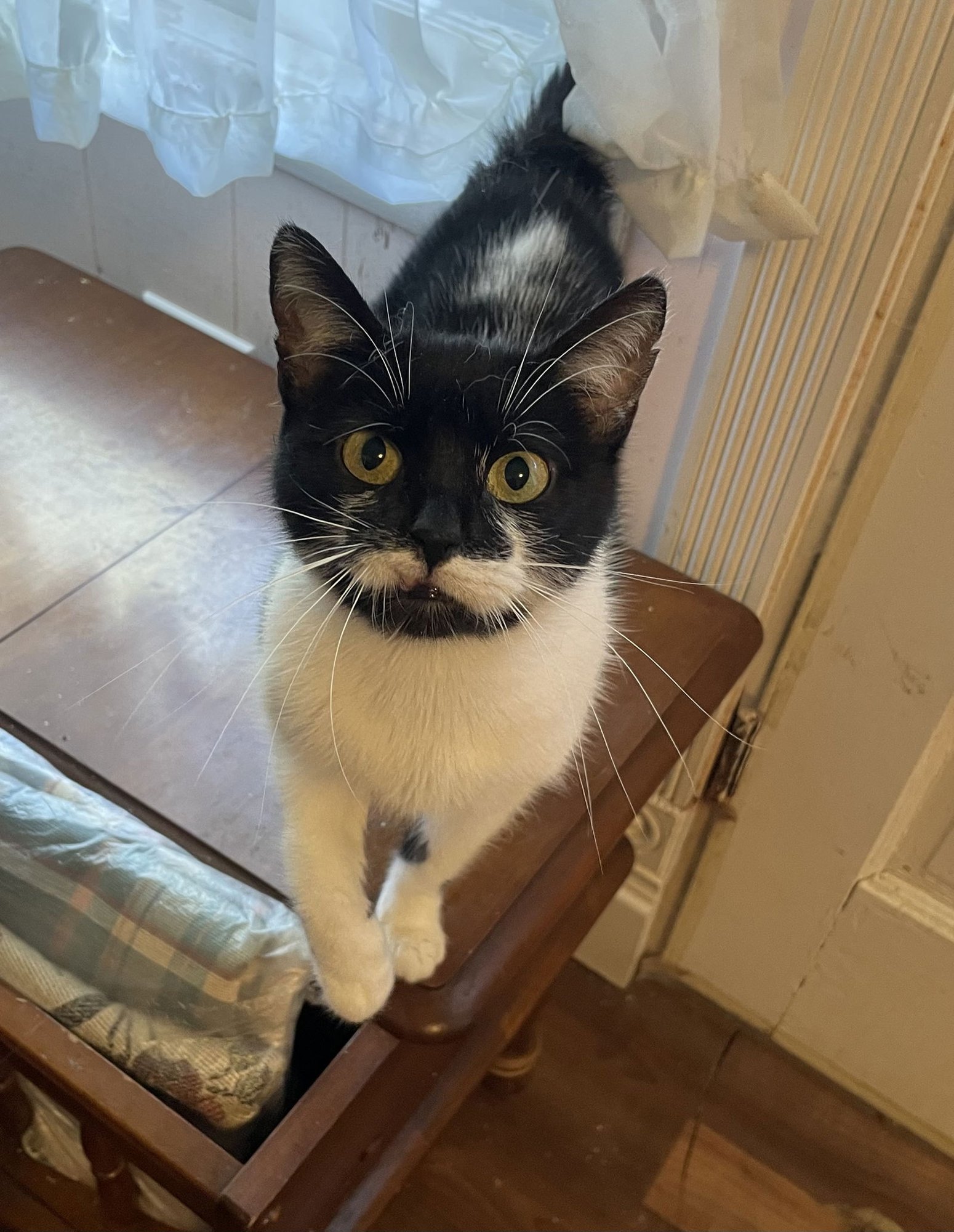 Aurora “Rory” - Photo 8