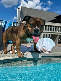 Shawny - Photo 2