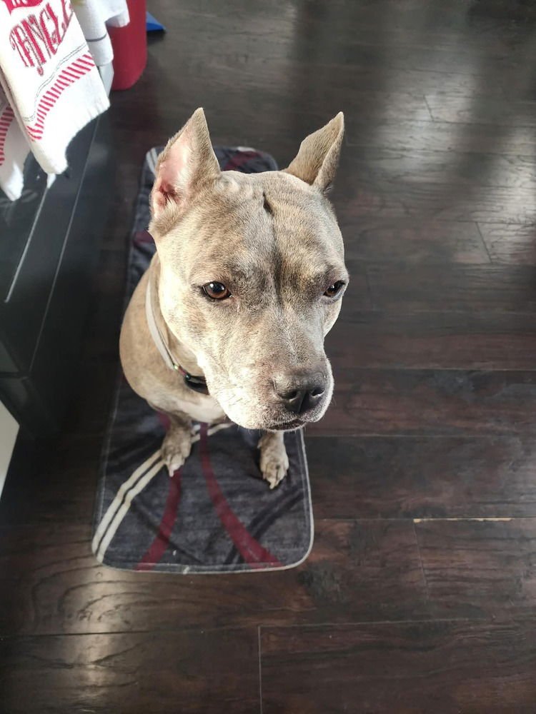 Luca  (2024) - Photo 3