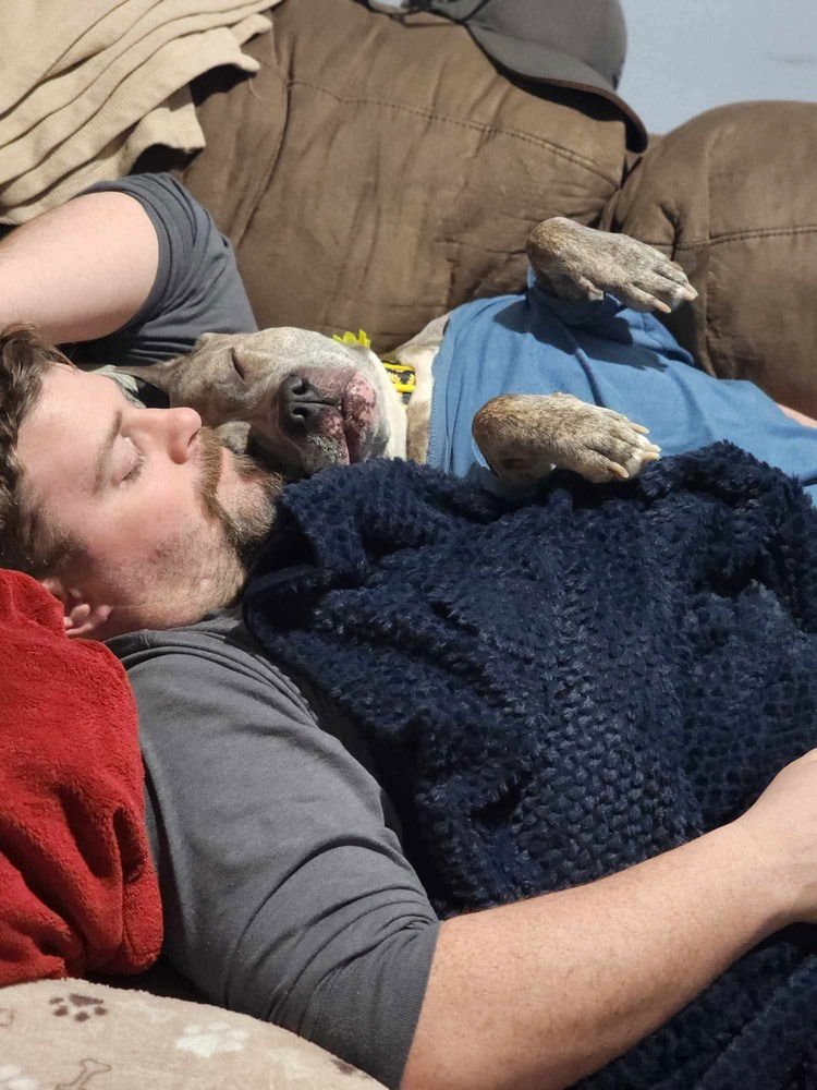 Luca  (2024) - Photo 4