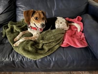 Sammie - Photo 4