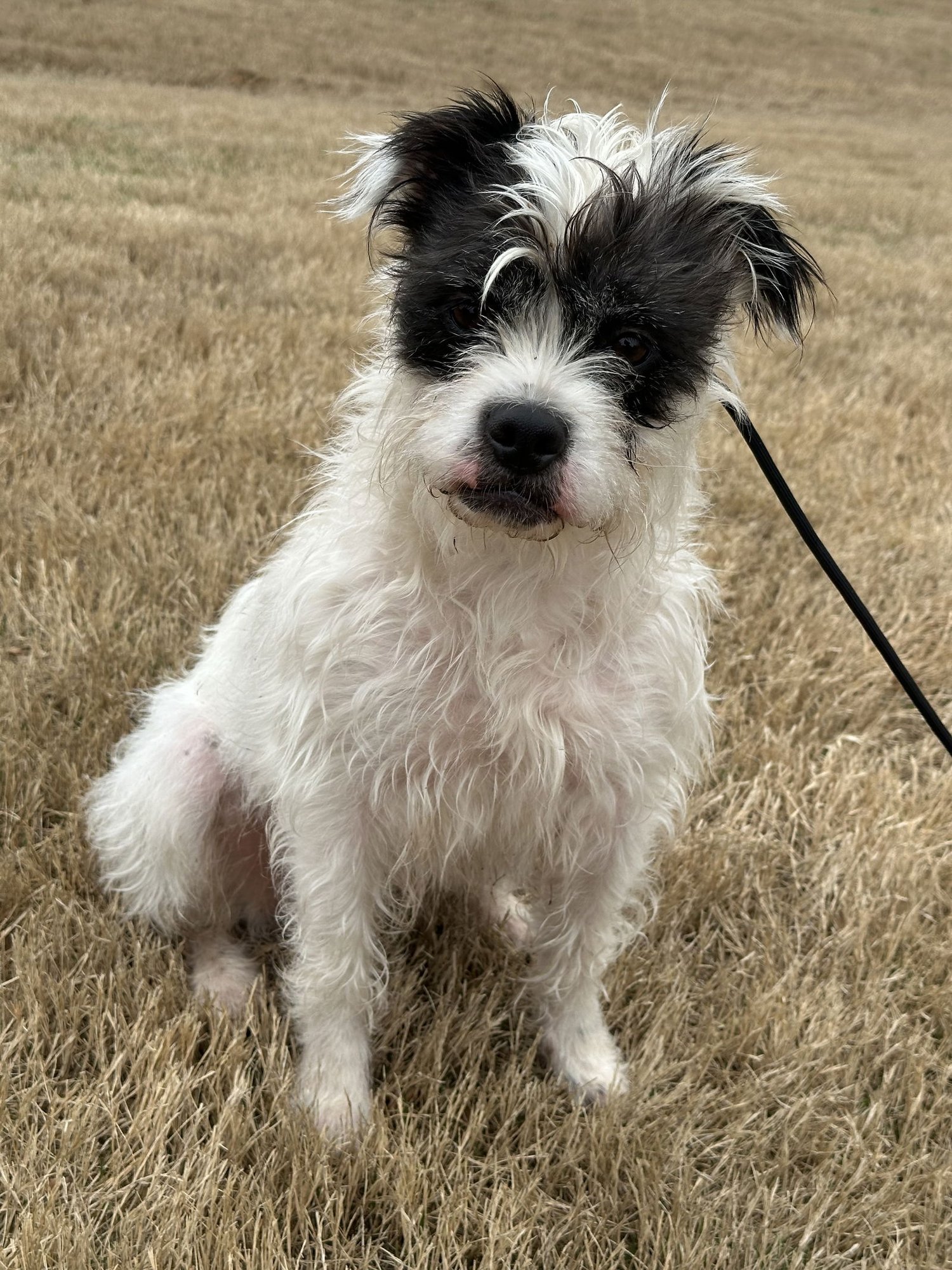 Darla Jean - Photo 3