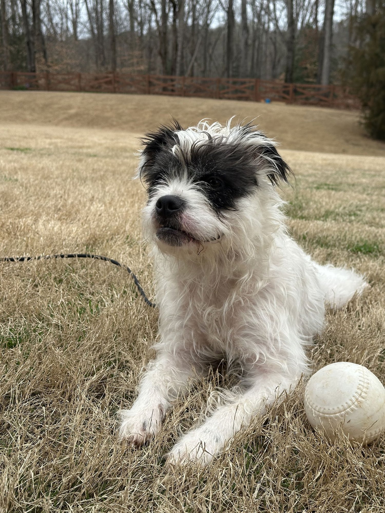 Darla Jean - Photo 4