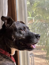 Gigi - Photo 3