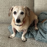 Tucker - Photo 2