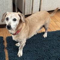 Tucker - Photo 4