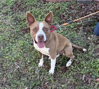 Nyla - Photo 2