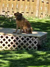 COURTESY POST: Allie - Photo 3