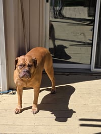 COURTESY POST: Allie - Photo 4