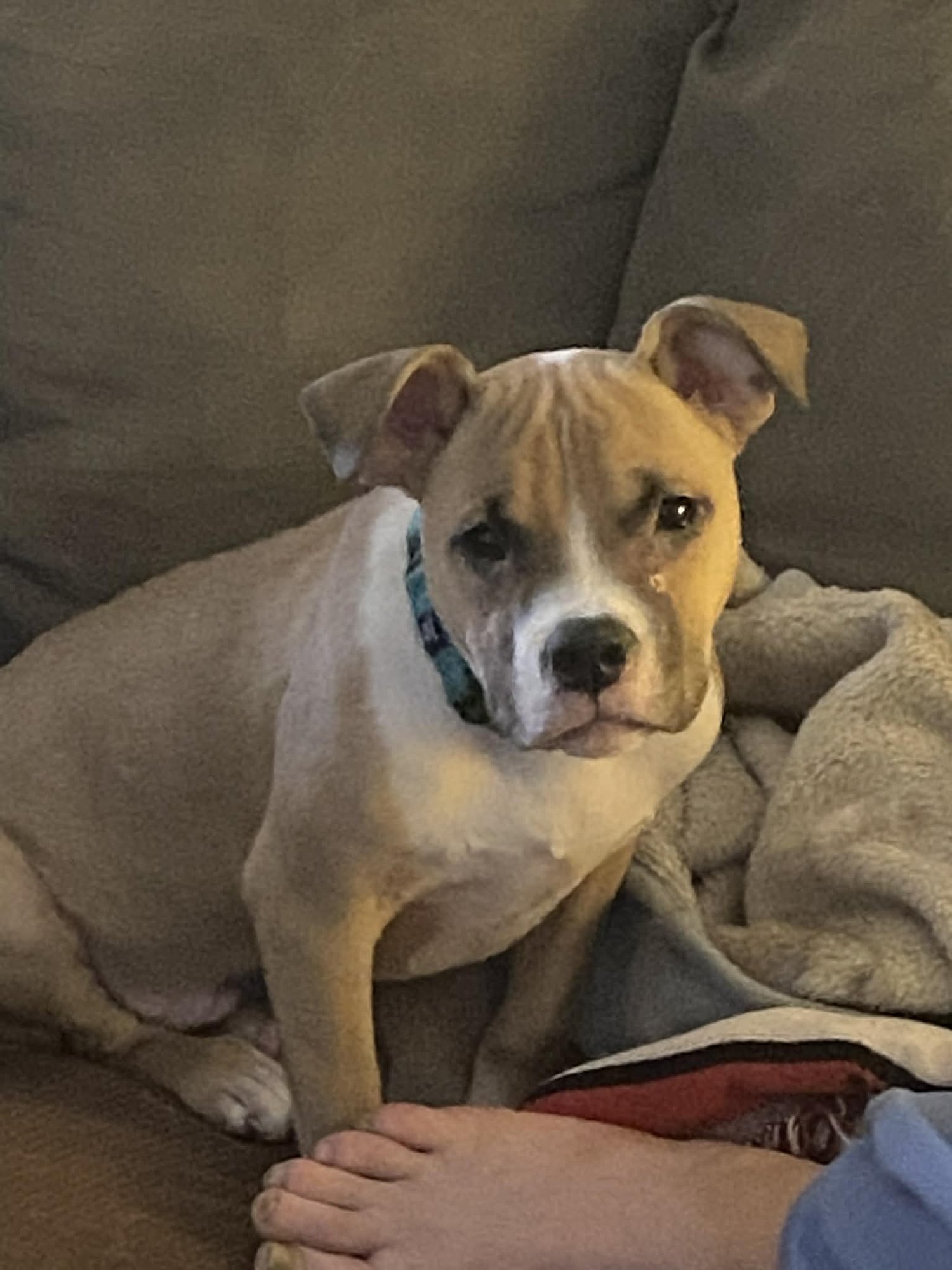 COURTESY POST: Spike - Photo 3