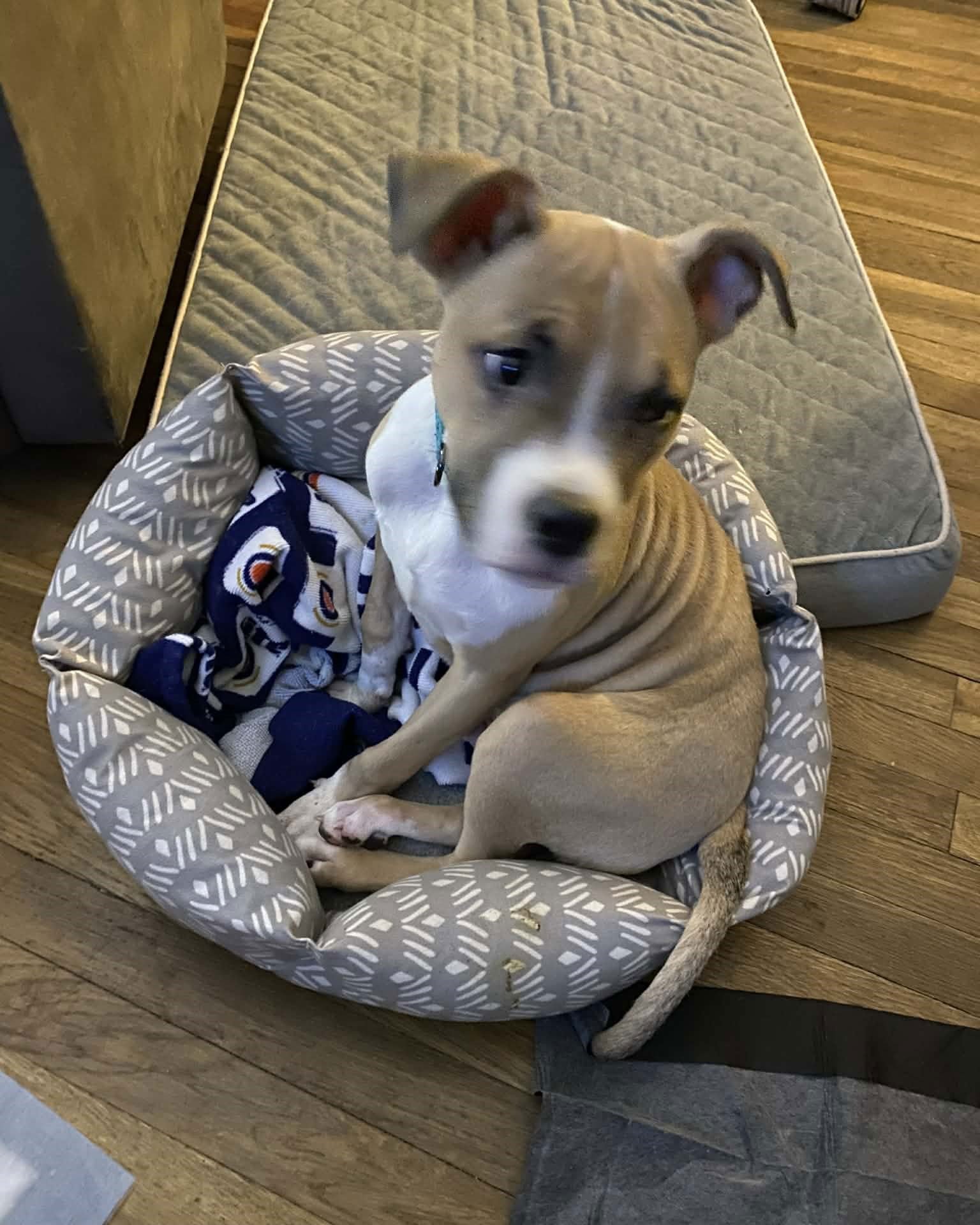 COURTESY POST: Spike - Photo 4