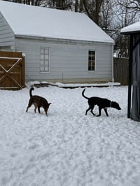 Zeus - Photo 7