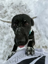 Zeus - Photo 5