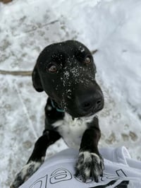 Zeus - Photo 6