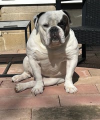 Chunk COURTESY POST - Photo 3