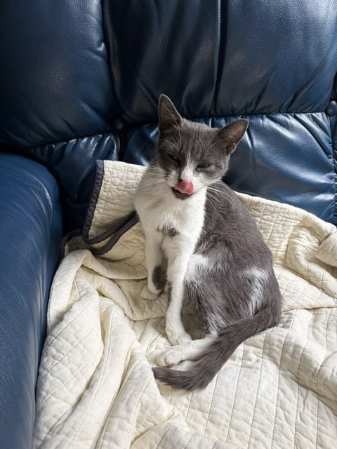 Mia Image