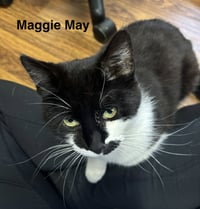 Maggie May - Photo 3