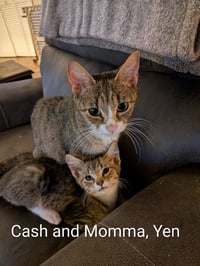Cash - Photo 5