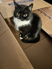 Bibi - Photo 4