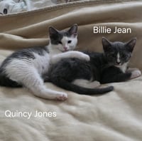 Quincy Jones - BONDED PAIR - Photo 5