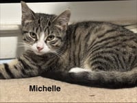 Michelle - Photo 1