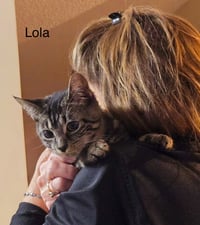 Lola - Photo 3