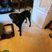 Onyx - Photo 16